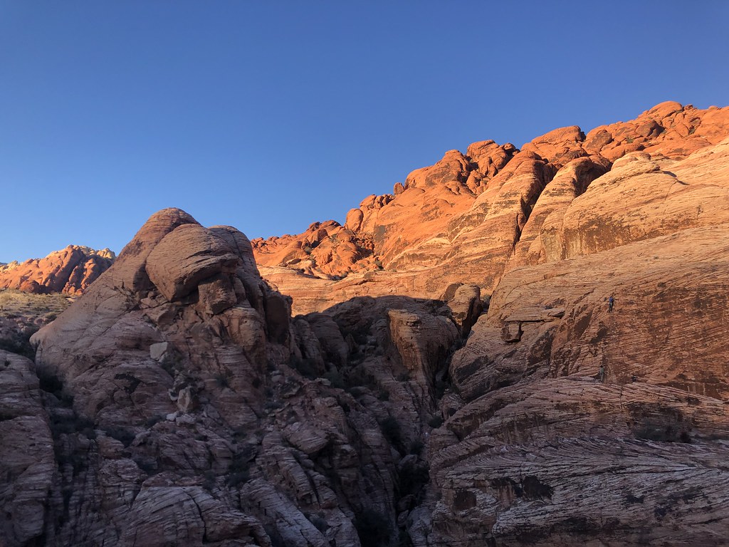 Calico Loop