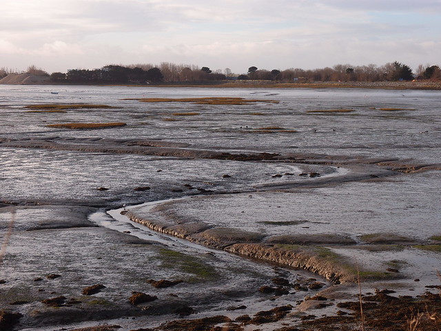 Solent Farlington marshes