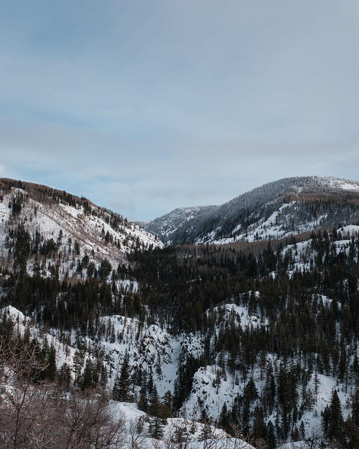 Snowy Hills
