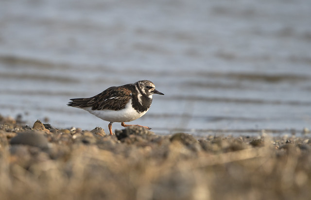 20170512_0724