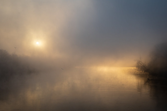 Foggy Riverine Sunrise