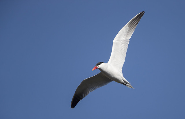 20190415_0090