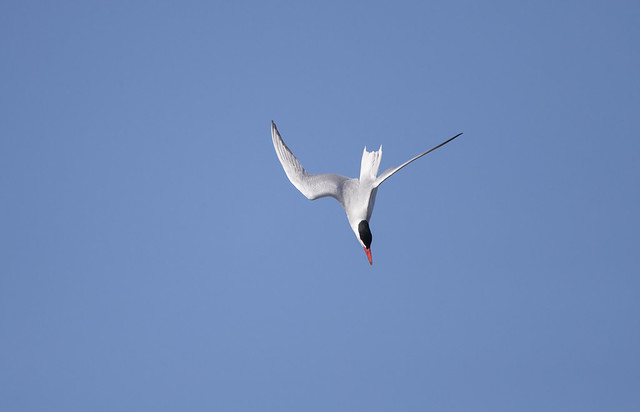 20190415_0536