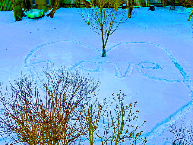 Message in the Snow