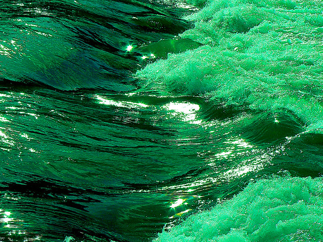Sunny Green Stream Dream