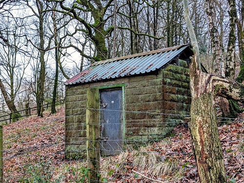 Somewhere to store things (Explore 30.12.2022) | by Trees85