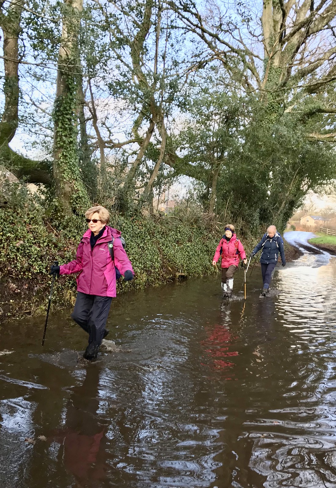 South Devon Ramblers walk on water….