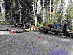 2022-03-26_Kidzbike