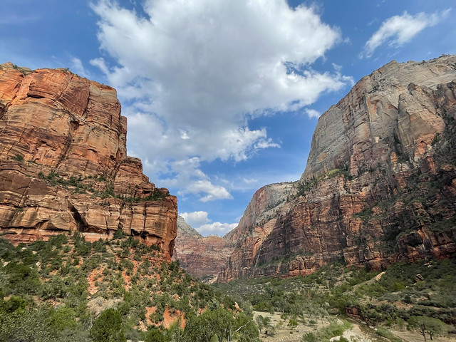 Photos of several jaunts into Zion National Park from 9/26-9/29/21. during my stay in Cedar City, UT. This is from my second day in the park on 9/28, when I hiked up to Scout Lookout along the West Rim Trail.