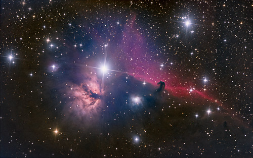 Flame and Horsehead nebula in Orion | The Flame Nebula, or N… | Flickr