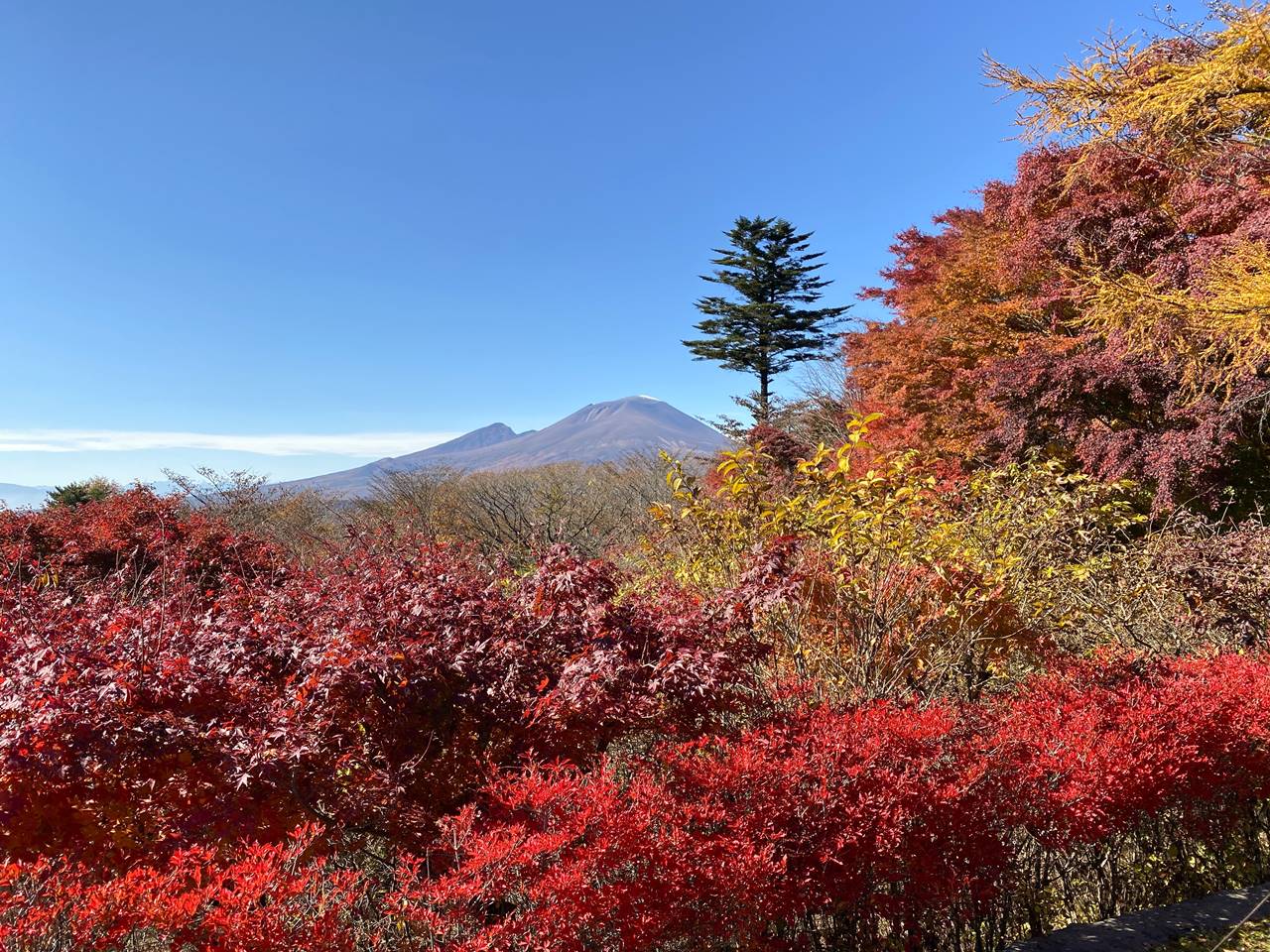 旧碓氷峠見晴台から眺める紅葉と浅間山