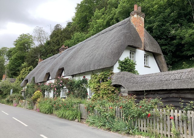 Two Thatched Cottages *
