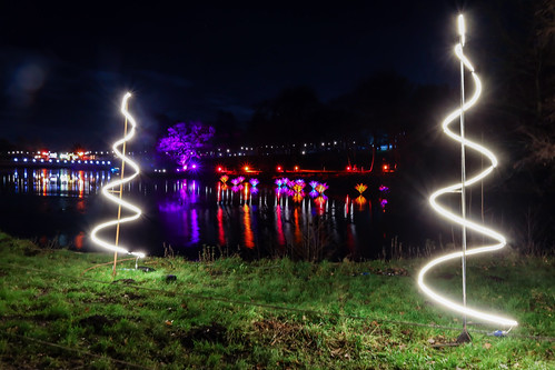 Light trail at Roundhay Park