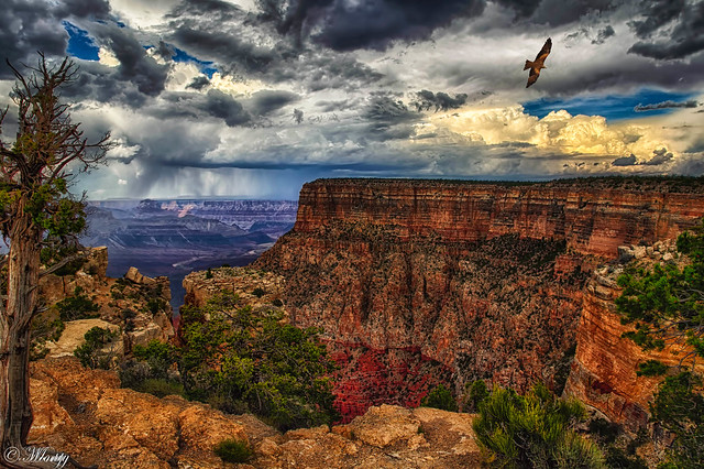 Moran Point, Grand Canyon,  Arizona, USA