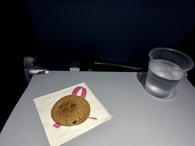 Mid-Flight Chocolate Chip Cookie