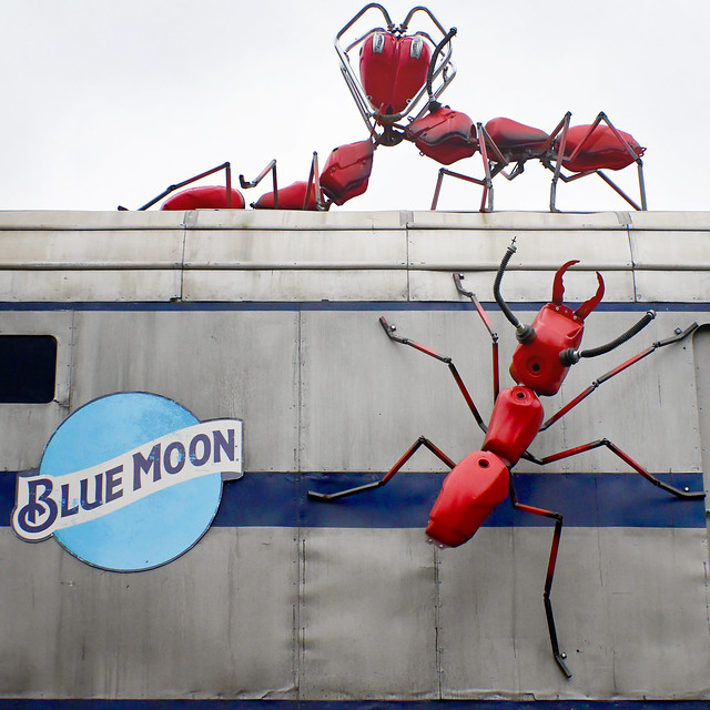 UK - London Flickr Group Photowalk 07 - Lowline 13 - Blue Moon Red Ants_sq_5007912