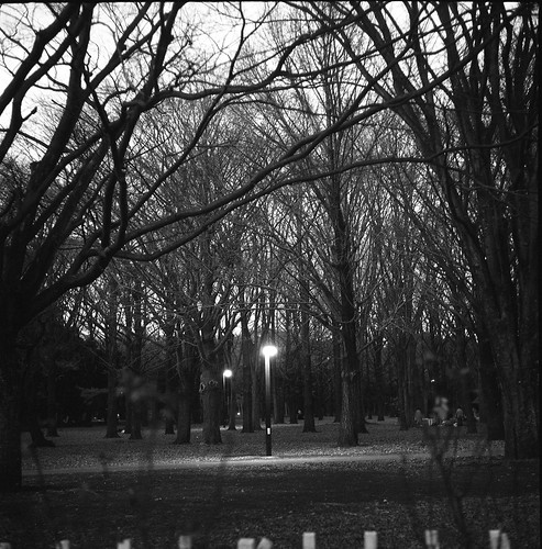 Light in park