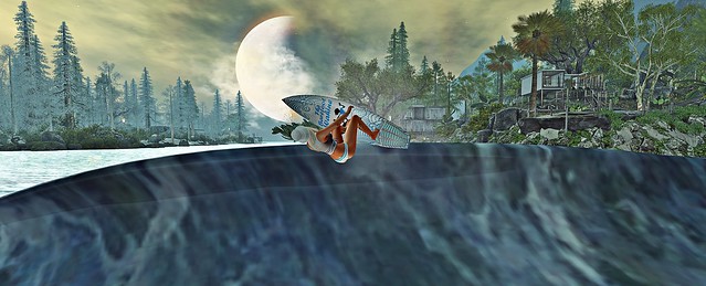 Surfing at Native Soul
