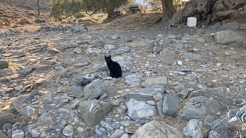 Agios Vasilios beach cat