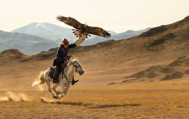 Galloping with Eagle