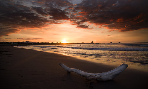 landscape coastal newplymouth fitzroybeach taranaki sunset beach sea tasmansea driftwood