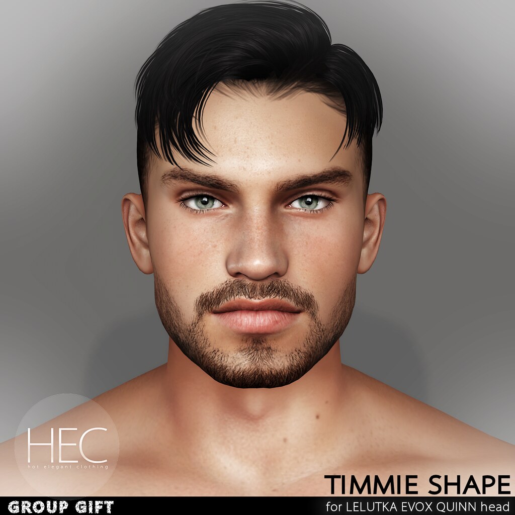 HEC (GROUP GIFT) • Shape & Style Card for LEL EVOX QUINN male head