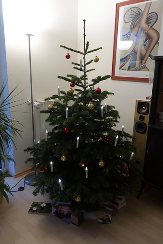 Weihnachtsbaum unserer Freunde in Rheine