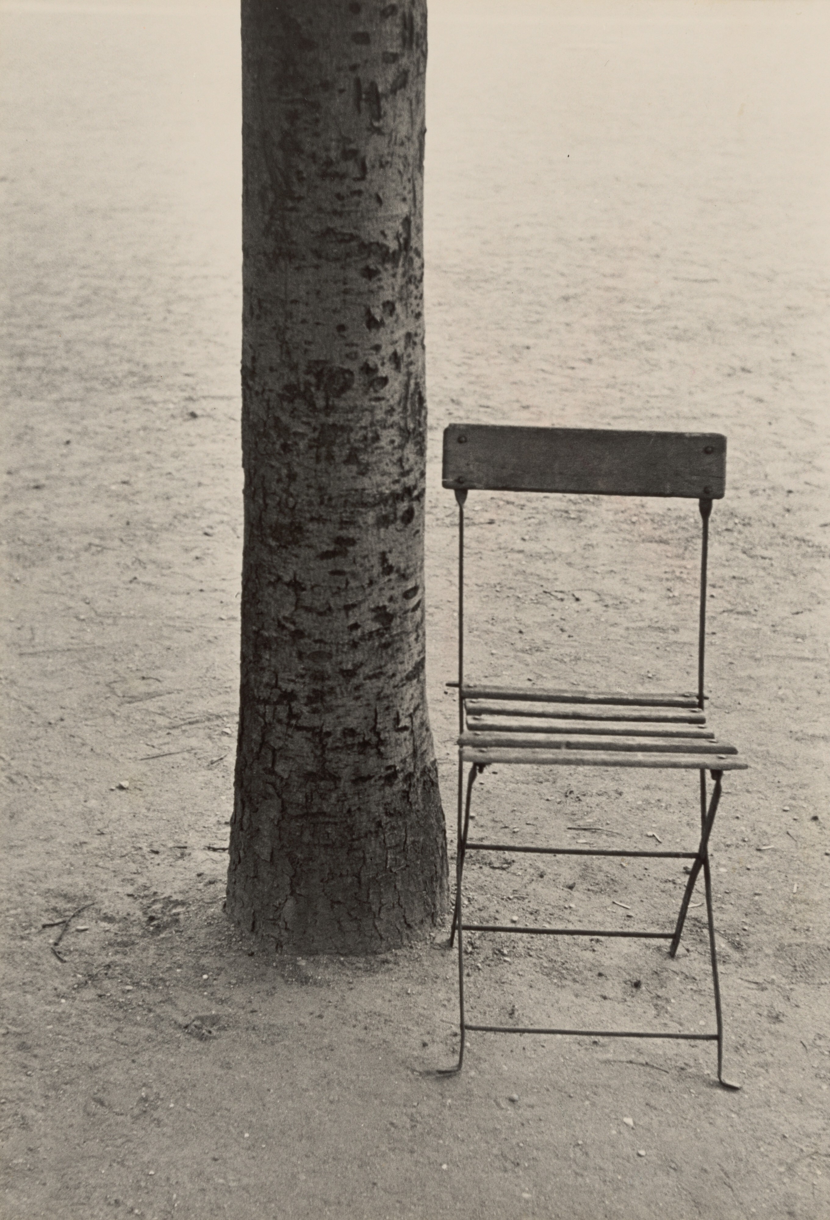 Robert Frank (1924-2019) :: Tree and Chair - Paris, 1949 | src National Gallery of Art