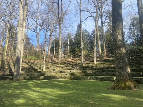 A theater in the trees