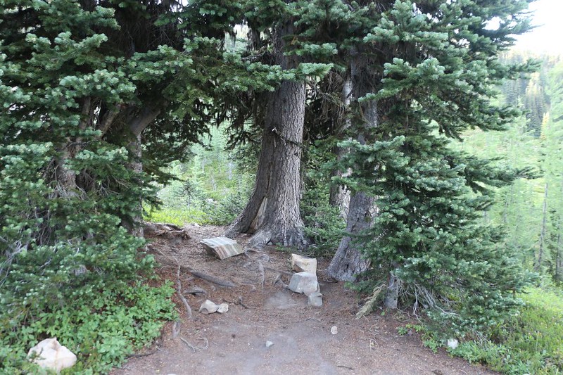 This was the shady alcove and cooking area at our camp near Windy Pass
