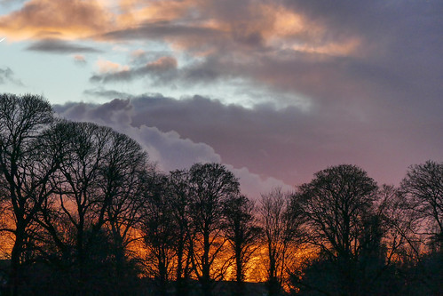 belgique belgium belgio hiver inverno winter bruxelles réserveduzavelenberg coucherdesoleil nuage nuvole cloud sky ciel sunset tramonto cielo