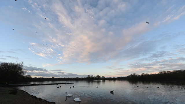 Clouds over Black Swan Lake near Dinton Activity Centre