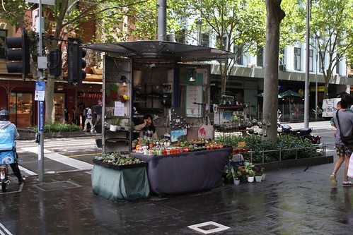 Newsstand cylinder at Swanston and Lonsdale Street now selling pot plants