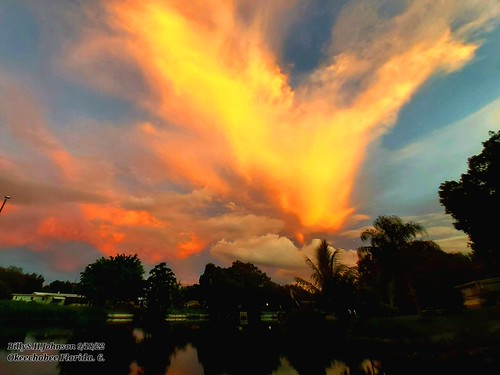 Random Sunset pics I took in Okeechobee Florida. by Billy-Johnson (Swamp'Hawk),
