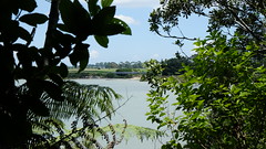 Waiotaiki Nature Reserve