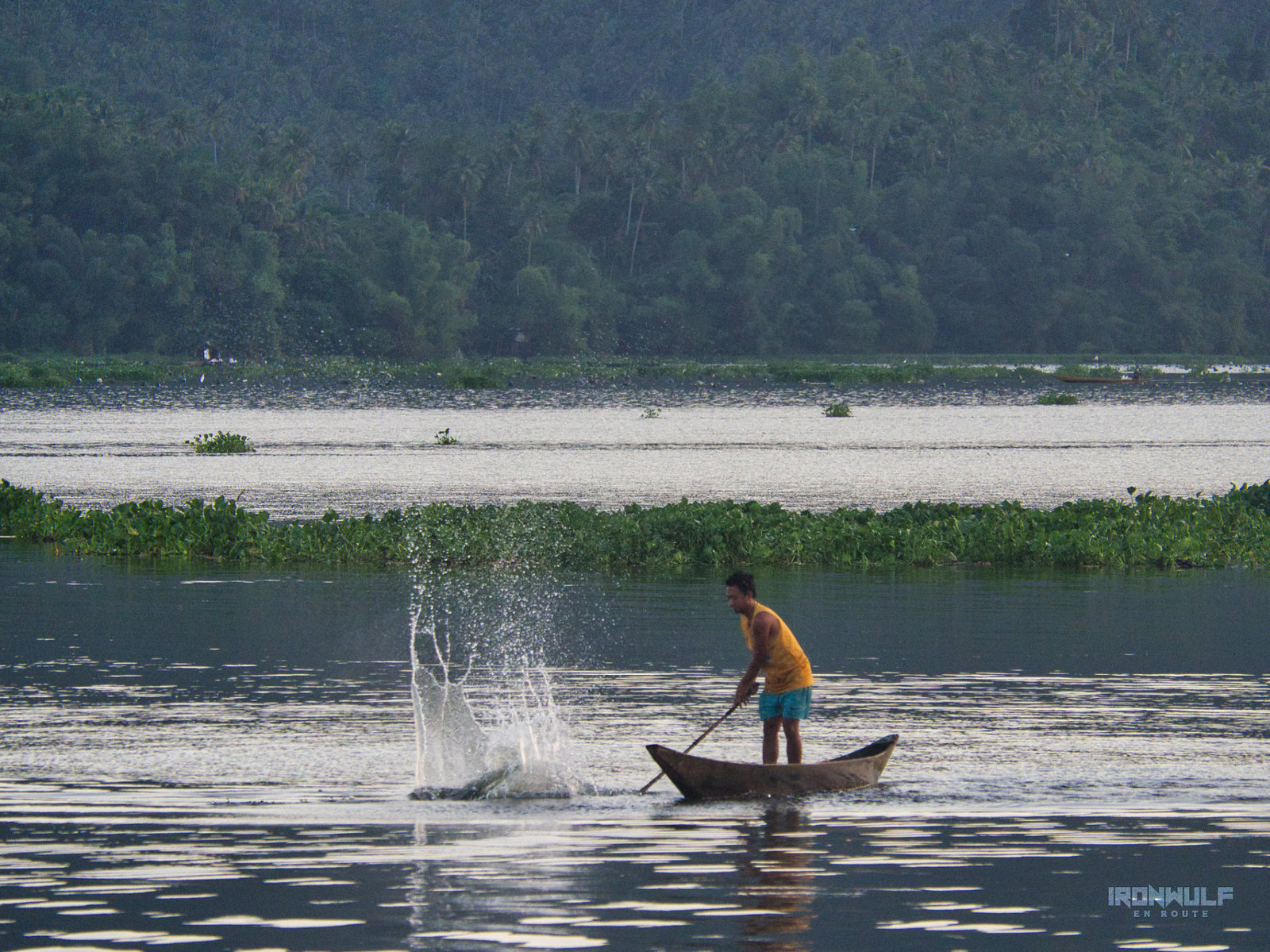 Lake Buhi Fisherman