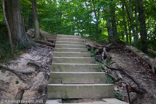 Stairs on the Gorge Trail not far from Brandywine Falls, Cuyahoga Valley National Park, Ohio
