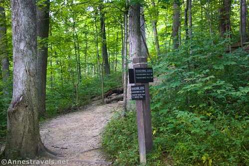 The trail junction at the Stanford Trail and the Gorge Trail near Brandywine Falls, Cuyahoga Valley National Park, Ohio