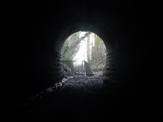 P1950510     Cadeby tunnel eastern exit, Conisbrough.  (Former Cadeby branch line )    December 2022