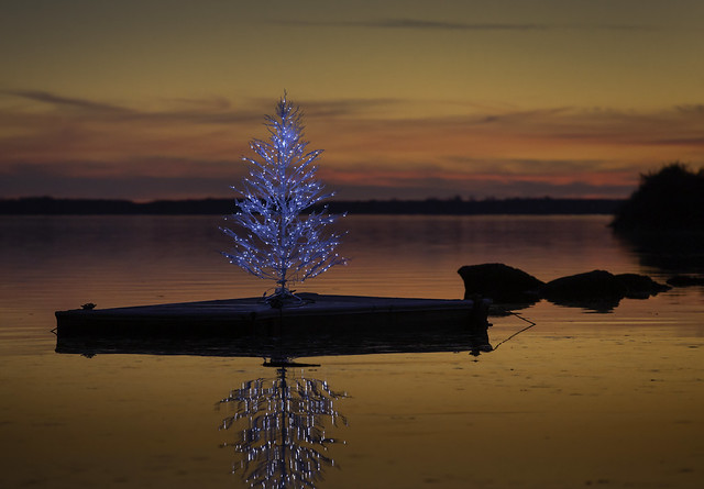 Christmas Tree - Havre de Grace, Maryland.
