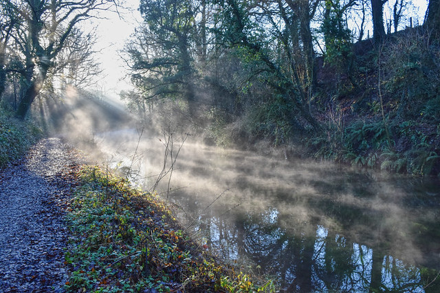Winter mist on the Grand Western Canal, Somerset