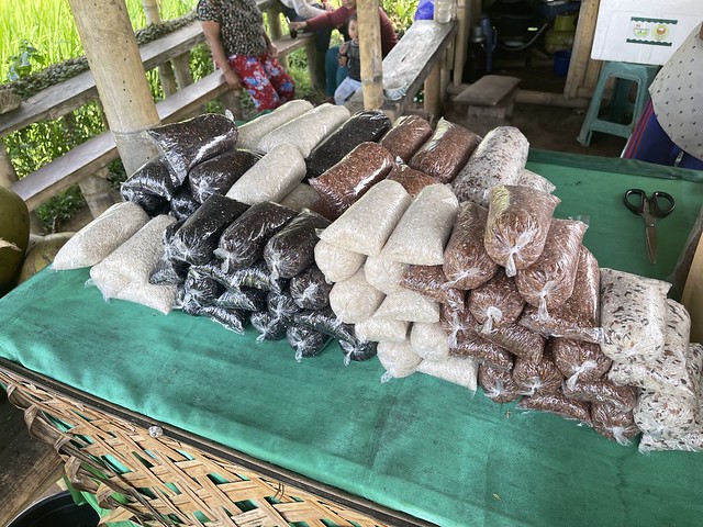 Various kinds of rice, Jatiluwhi, Bali, Indonesia