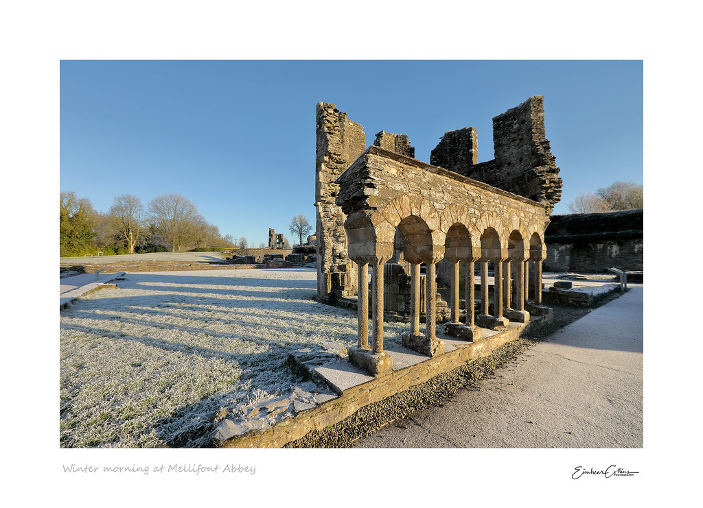 Winter light at Mellifont Abbey