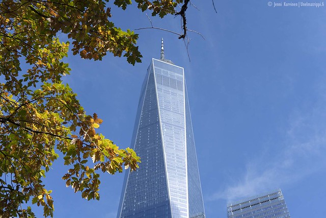 One World Trade Center ja syksyisiä lehtiä kadulta kuvattuna