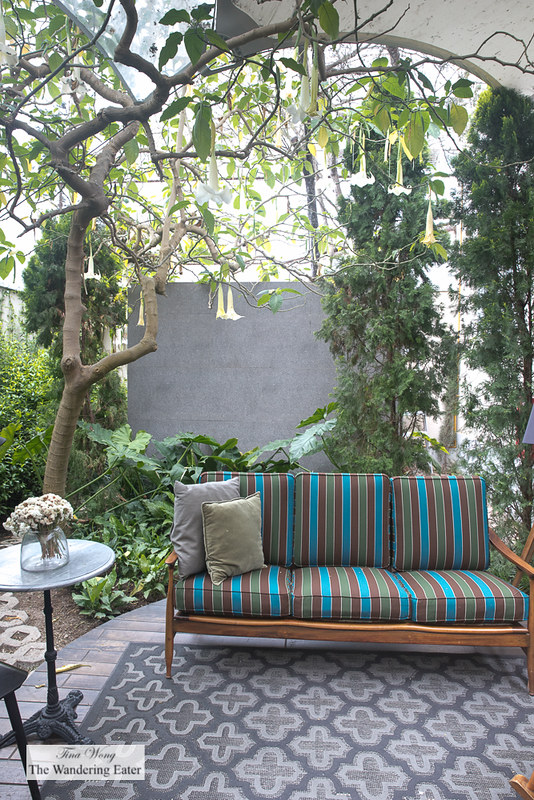 Fabulous backyard and garden space