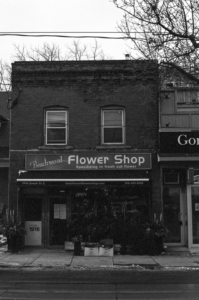 Beachwood Flower Shop Dec 2022