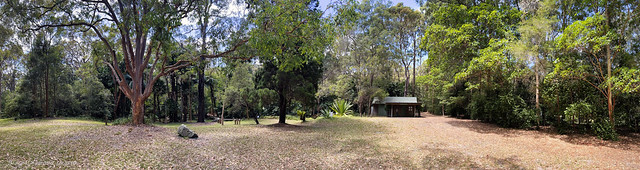 Crommelin Native Plant Arboretum (Pearl Beach Arboretum) Pearl Beach, Central Coast, NSW