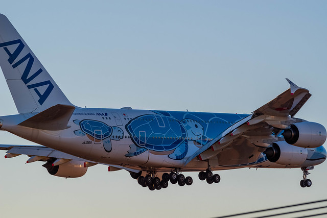 AIRBUS A380 亀さん