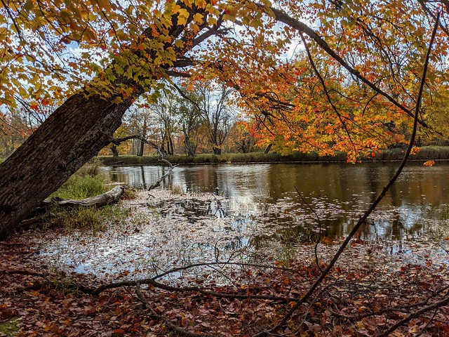 Fall Colors Over Mersey River