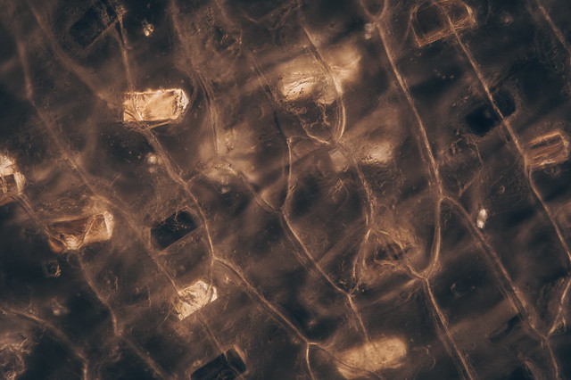 Calcium oxalate crystals in garlic peel in polarization. 50:1